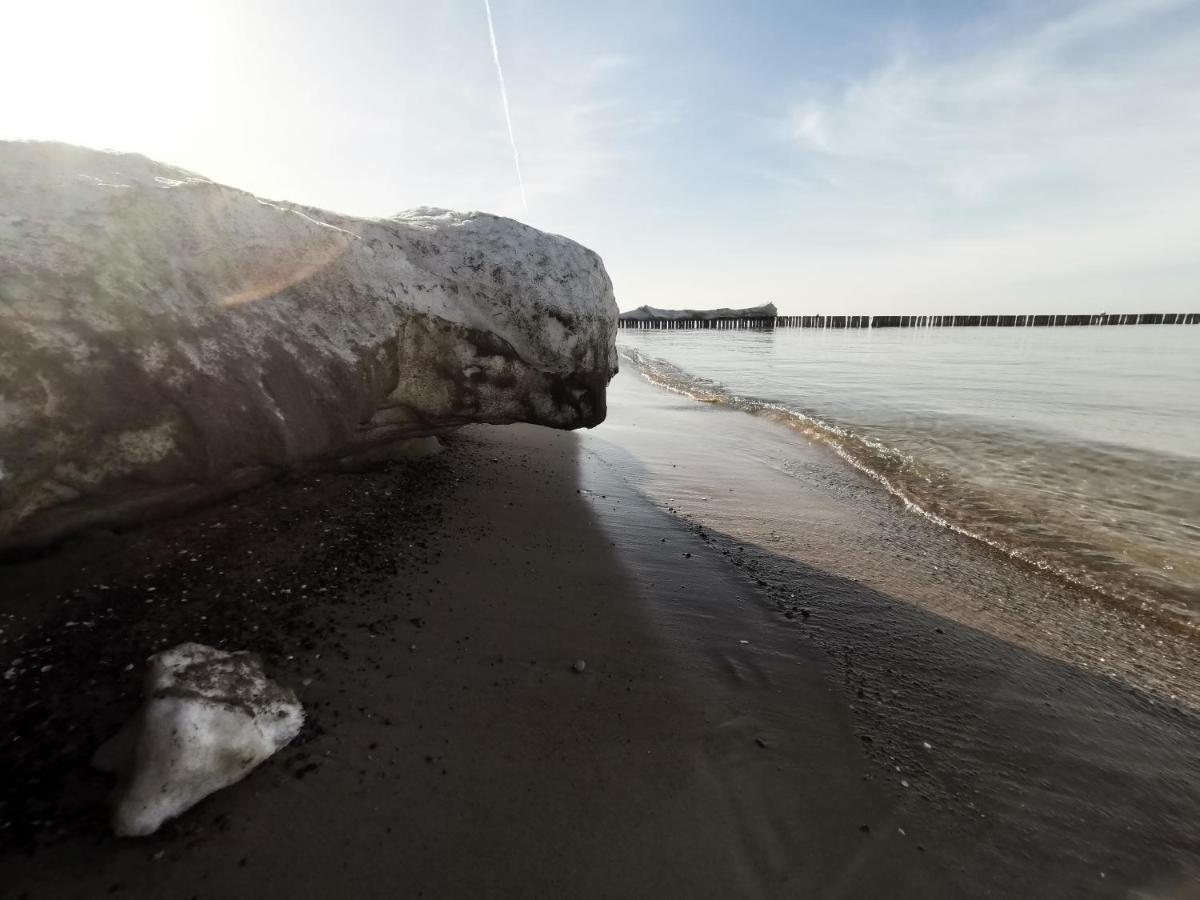 Goscinny Dom Kaola Rewal Kültér fotó