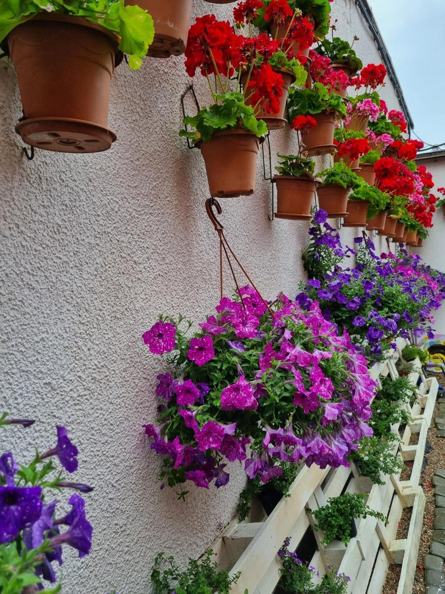 Goscinny Dom Kaola Rewal Kültér fotó